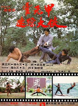 迷踪霍元甲全集