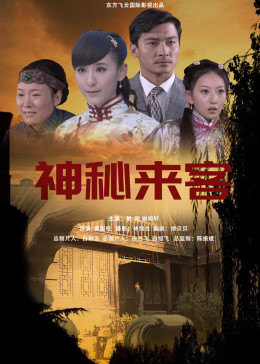 神秘来客2014全集