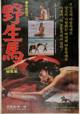 野生馬全集