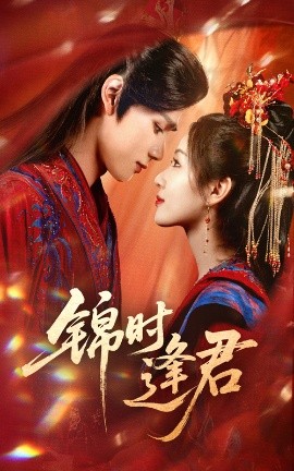 锦时逢君全集