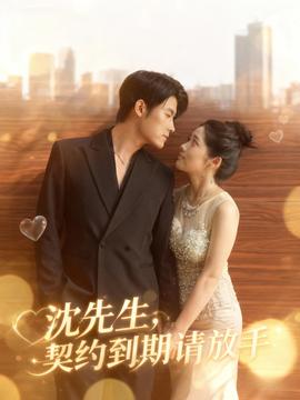 沈先生，契约到期请放手全集