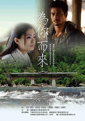 为你而来全集