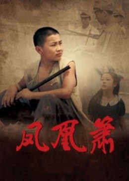 凤凰箫全集