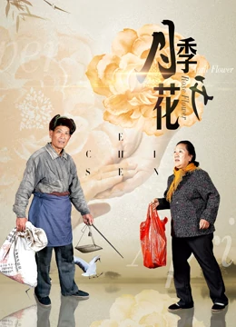 月季花开全集