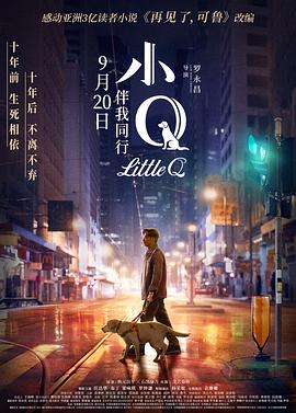 小Q全集