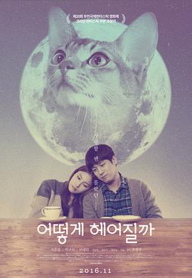 如何与我的猫分手全集