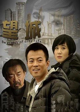 望城全集