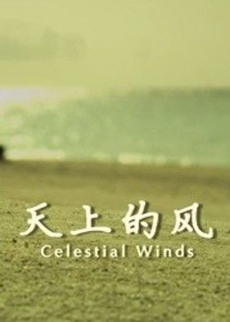 天上的风全集