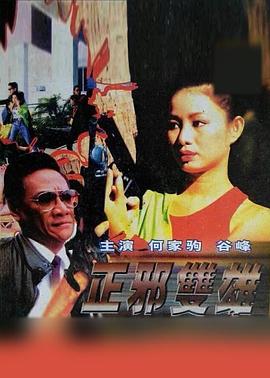 正邪双雄全集
