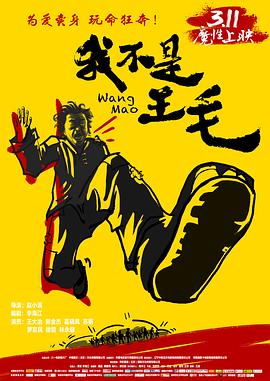 我不是王毛全集