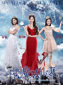 我的魔法仙妻全集
