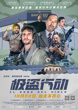 极盗行动全集
