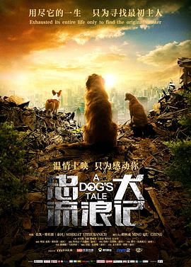 忠犬流浪记全集