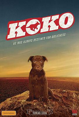 Koko红犬历险记全集