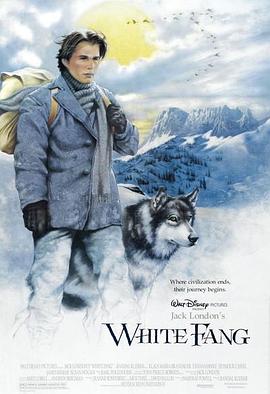 雪地黄金犬全集