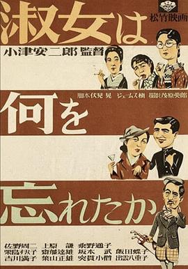 淑女忘记了什么全集