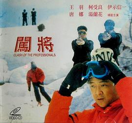 闯将全集