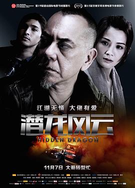 潜龙风云全集
