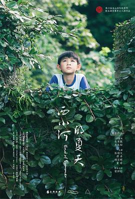 西小河的夏天全集