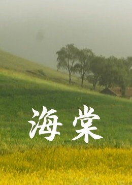 海棠全集