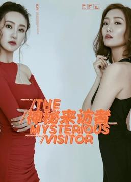 神秘来访者全集