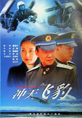 冲天飞豹全集