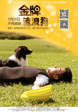 金牌流浪狗全集