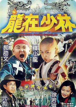 龙在少林全集