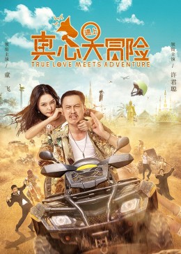 真心遇上大冒险全集
