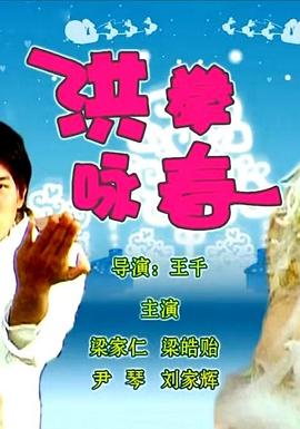 洪拳咏春全集