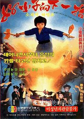 好小子的下一招全集