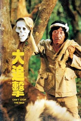 大追击全集