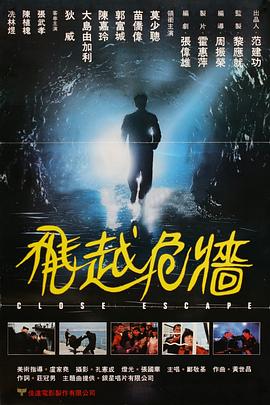 飞越危墙全集