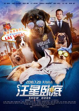 汪星卧底全集