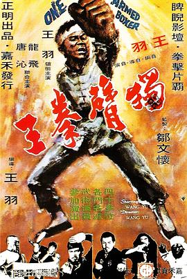 独臂拳王全集