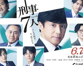 刑事7人第九季全集