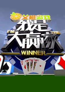 我是大赢家2017全集