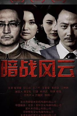 暗战风云全集