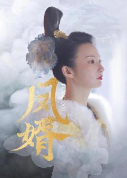 凤婿全集
