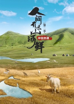 人间有味山河鲜第二季全集