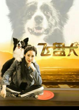 飞盘犬全集