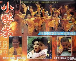 小醉拳全集