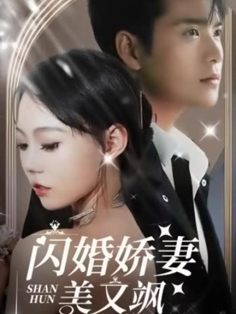 闪婚娇妻美又飒全集