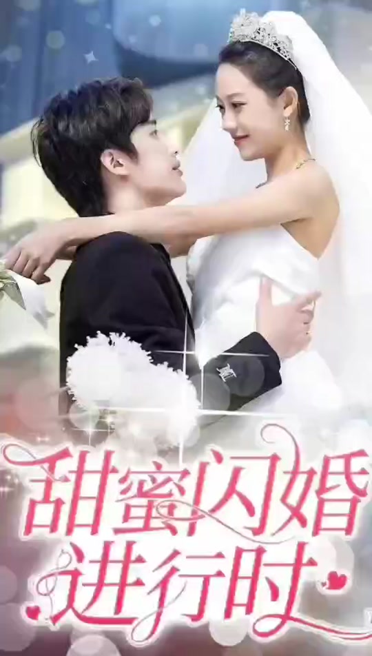 甜蜜闪婚进行时全集