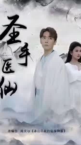 圣手医仙全集