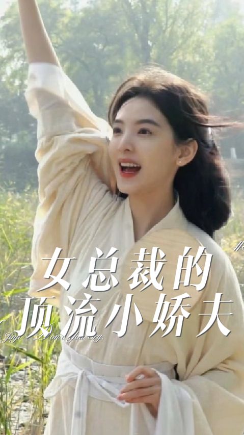 女总裁的顶流小娇夫全集