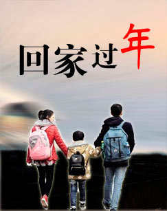 回家过年全集