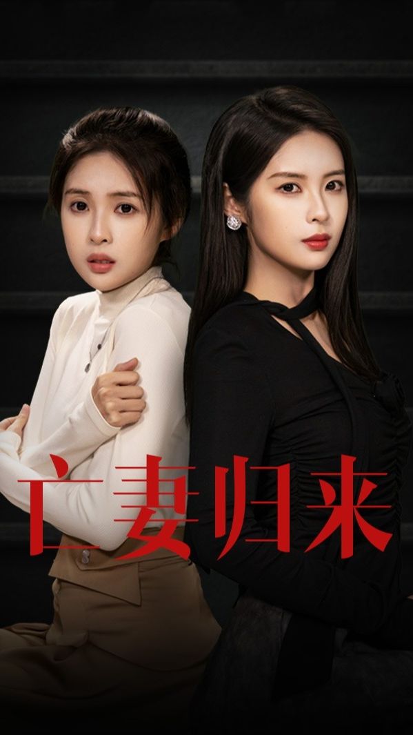 亡妻归来全集