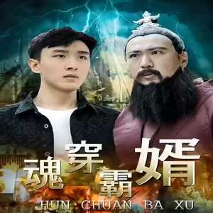 魂穿霸婿全集