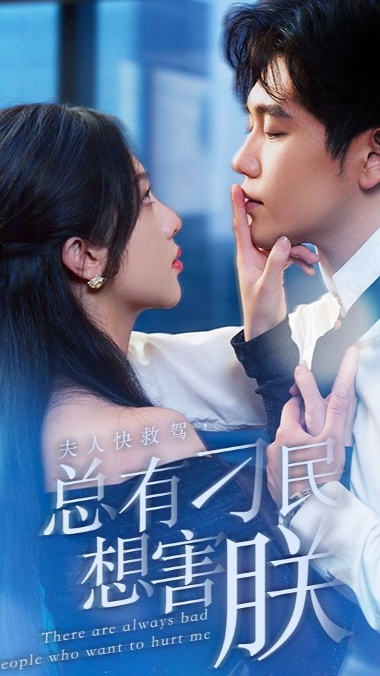 夫人快救驾，总有刁民想害朕全集